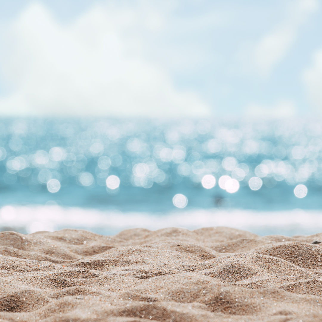 Summer Favorites